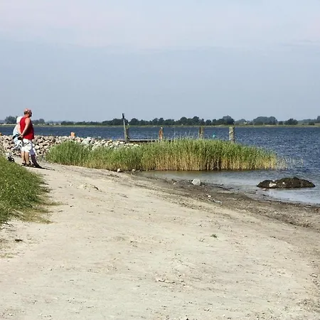 Seemoewe Im Faehrhaus In Vieregge